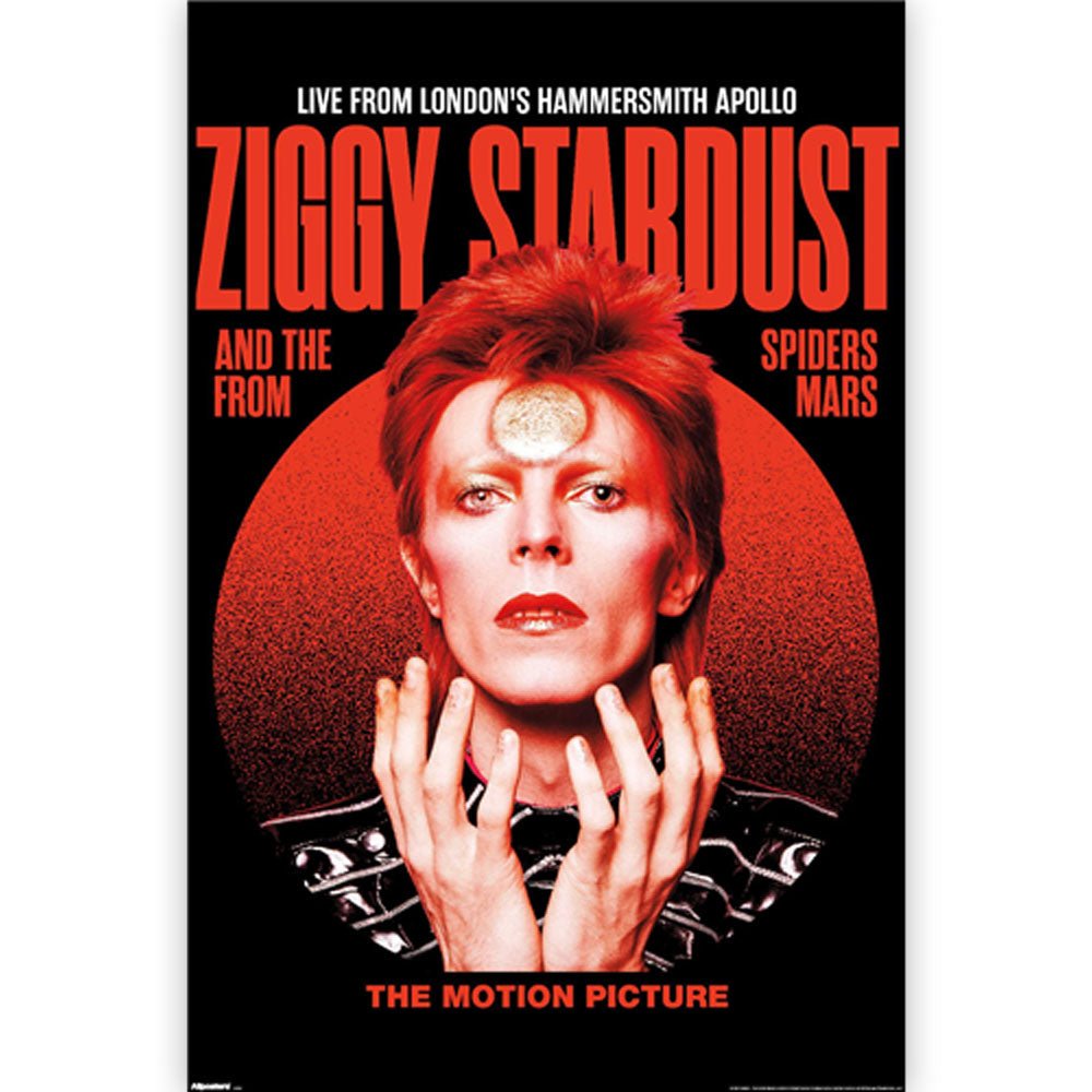 DAVID BOWIE デヴィッドボウイ - Ziggy Stardust Live / ポスター - PGS